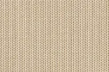Amber Beige Amber Beige