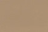 Beige Beige