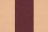 Bologna Bologna